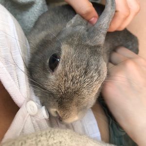 Meet your Posher, Alex